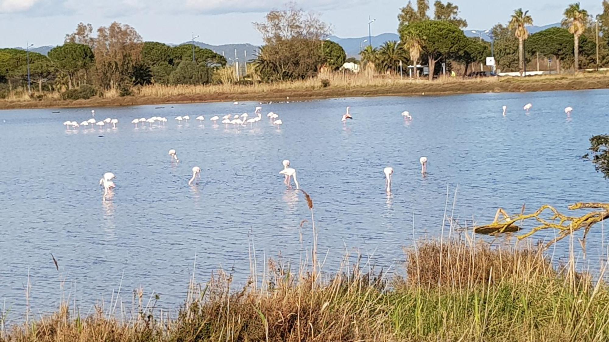 Rez De Jardin T3 Recent Et Calme Au Nouvelles Terres A Les Maures