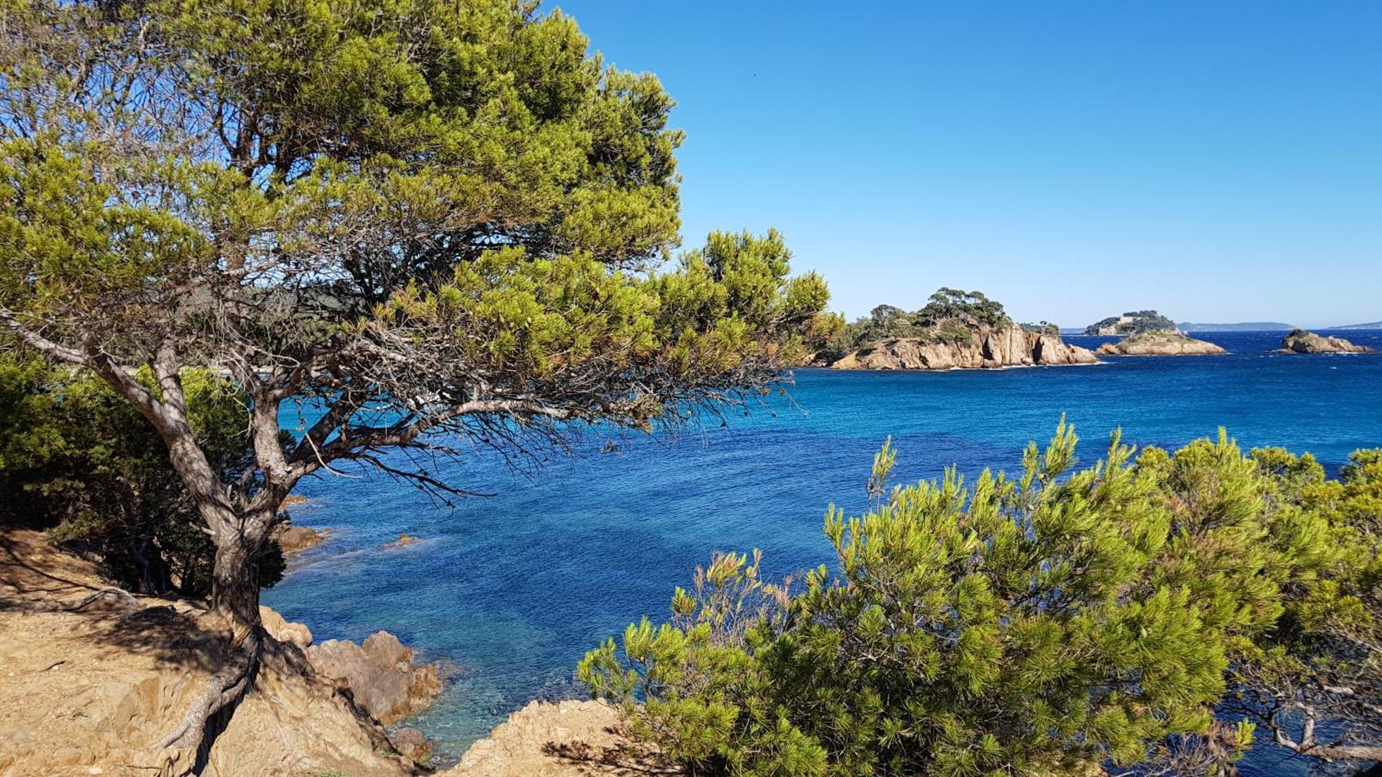 Appartement Rez De Jardin T3 Recent Et Calme Au Nouvelles Terres A Les Maures