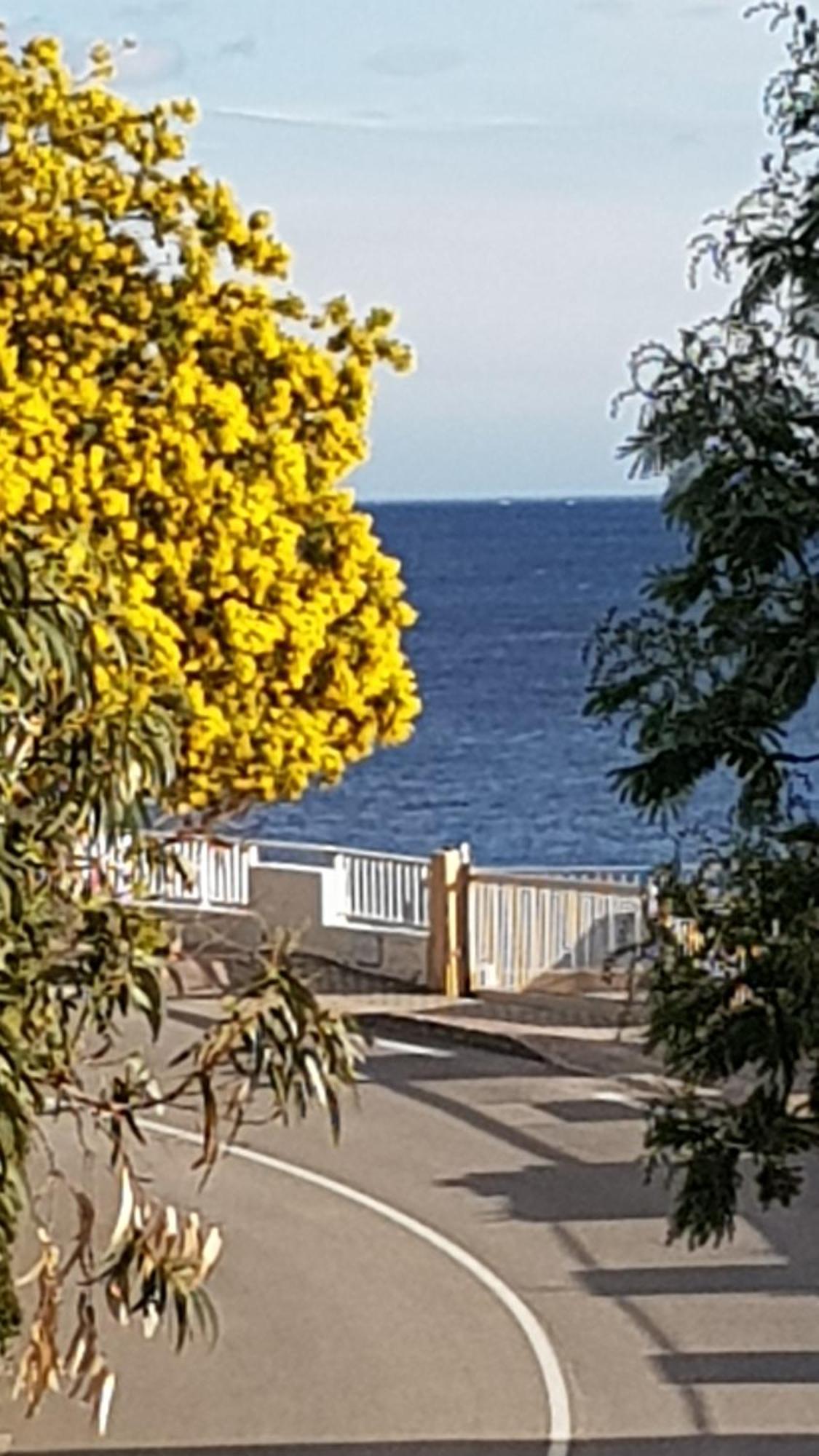 Rez De Jardin T3 Recent Et Calme Au Nouvelles Terres A Les Maures Appartement *