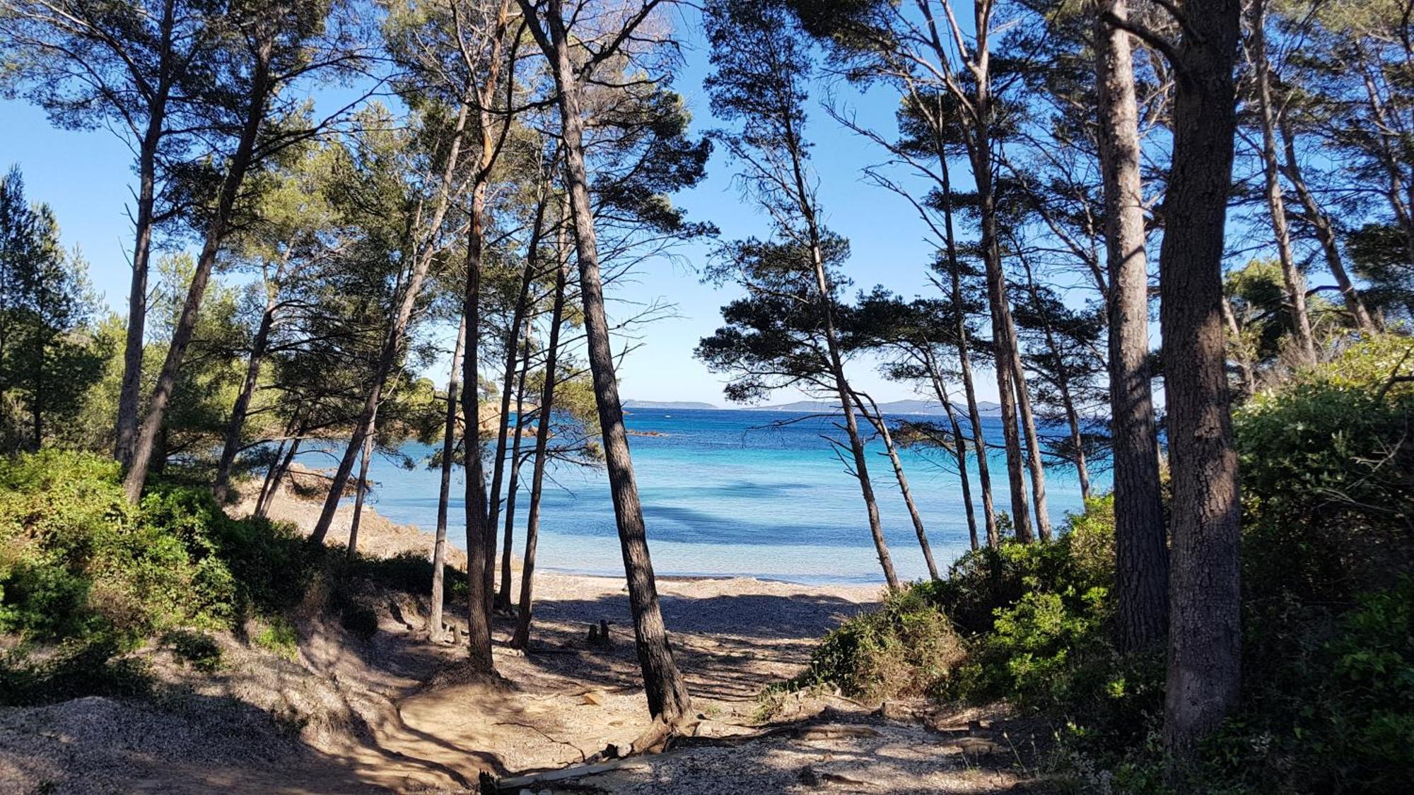 Rez De Jardin T3 Recent Et Calme Au Nouvelles Terres A Les Maures Appartement