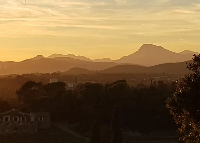 Rez De Jardin T3 Recent Et Calme Au Nouvelles Terres A La Londe Les Maures