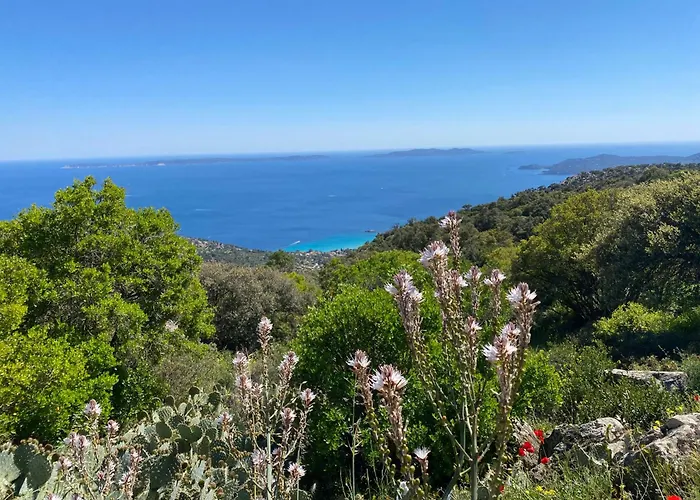 Rez De Jardin T3 Recent Et Calme Au Nouvelles Terres A La Londe Les Maures