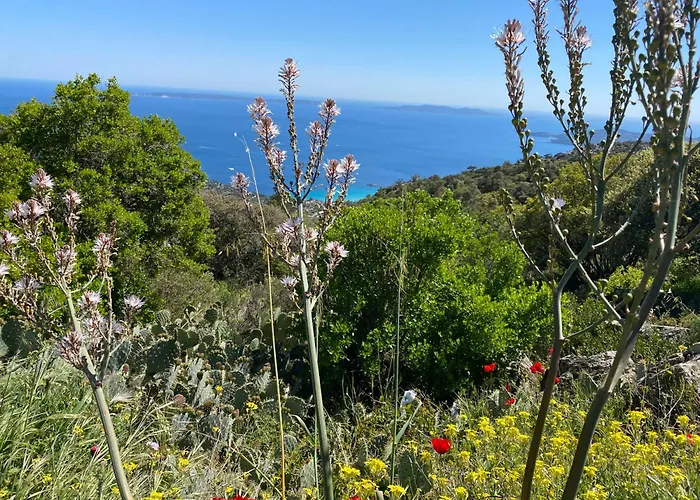 Rez De Jardin T3 Recent Et Calme Au Nouvelles Terres A La Londe Les Maures