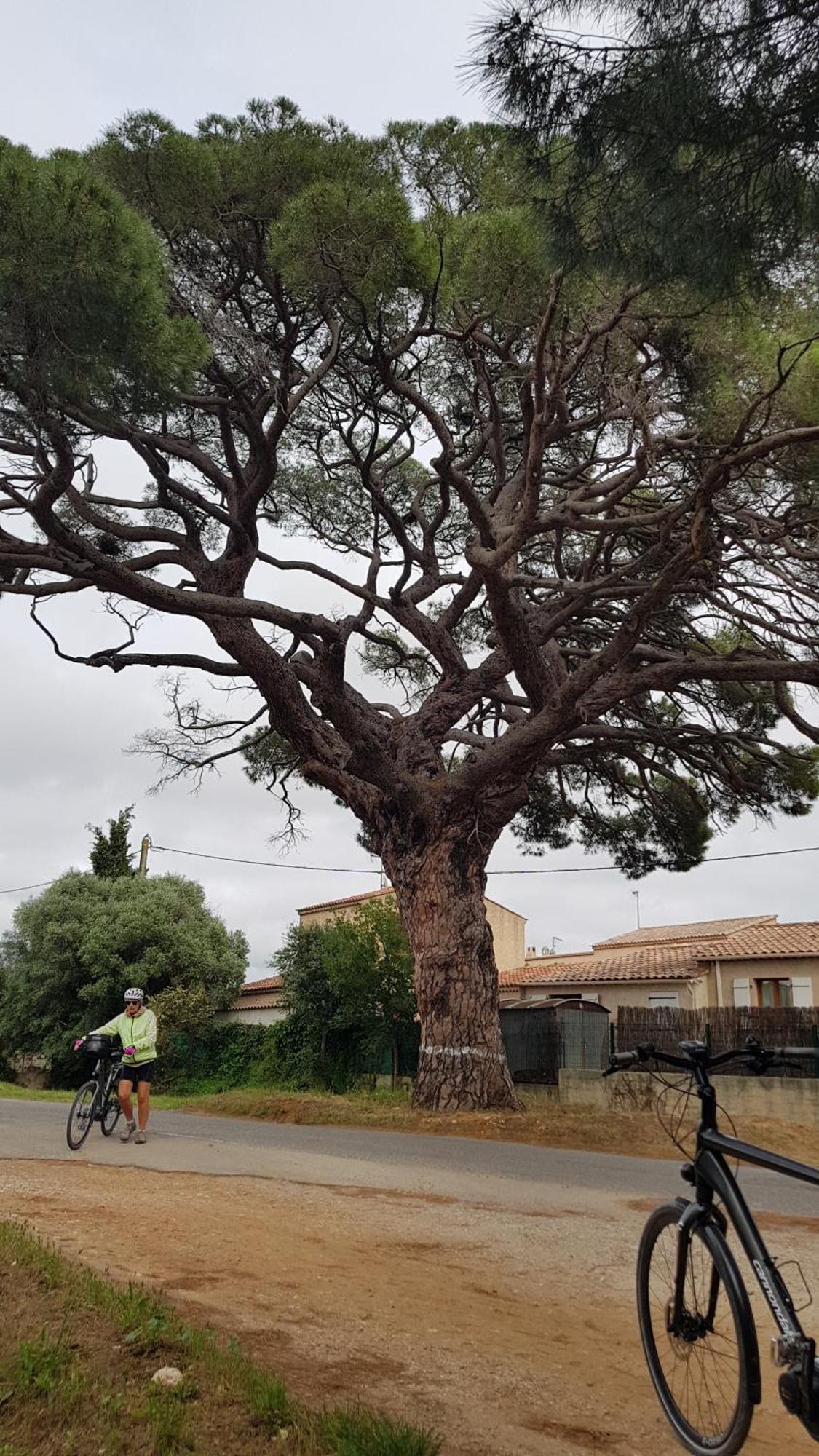 Appartement Rez De Jardin T3 Recent Et Calme Au Nouvelles Terres A Les Maures La Londe-les-Maures