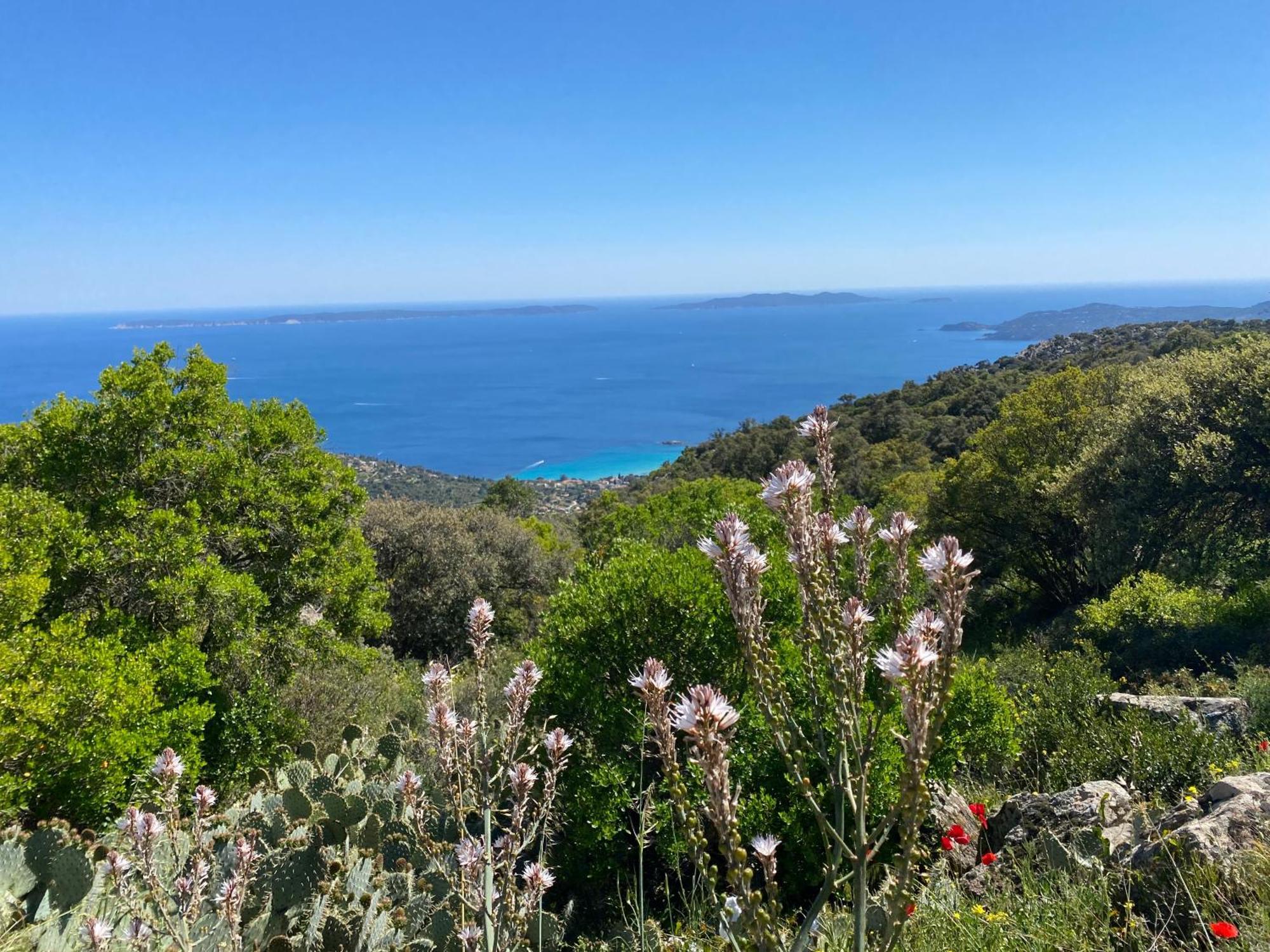 Apartment Rez De Jardin T3 Recent Et Calme Au Nouvelles Terres A Les Maures *
