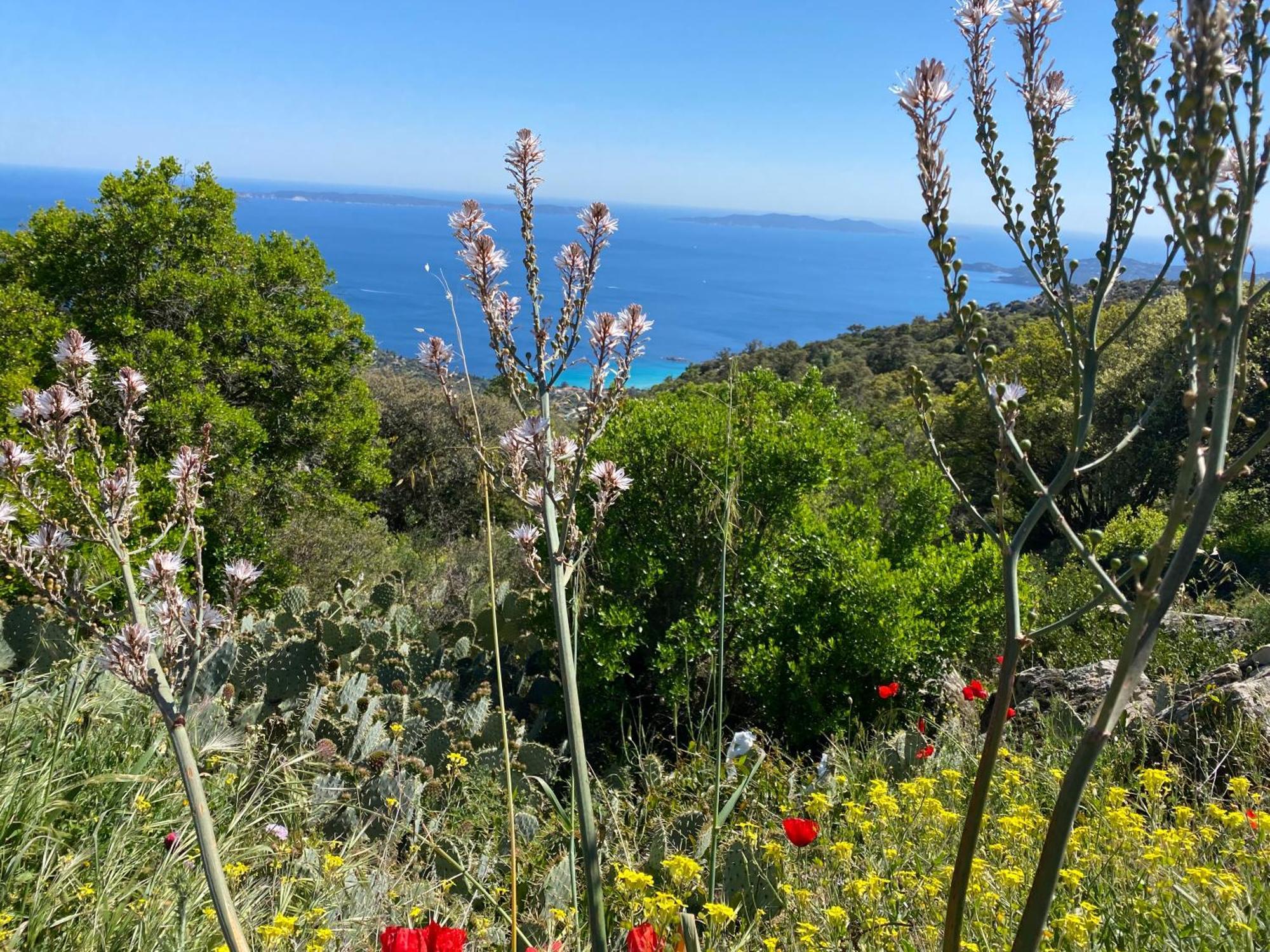Appartement Rez De Jardin T3 Recent Et Calme Au Nouvelles Terres A Les Maures *