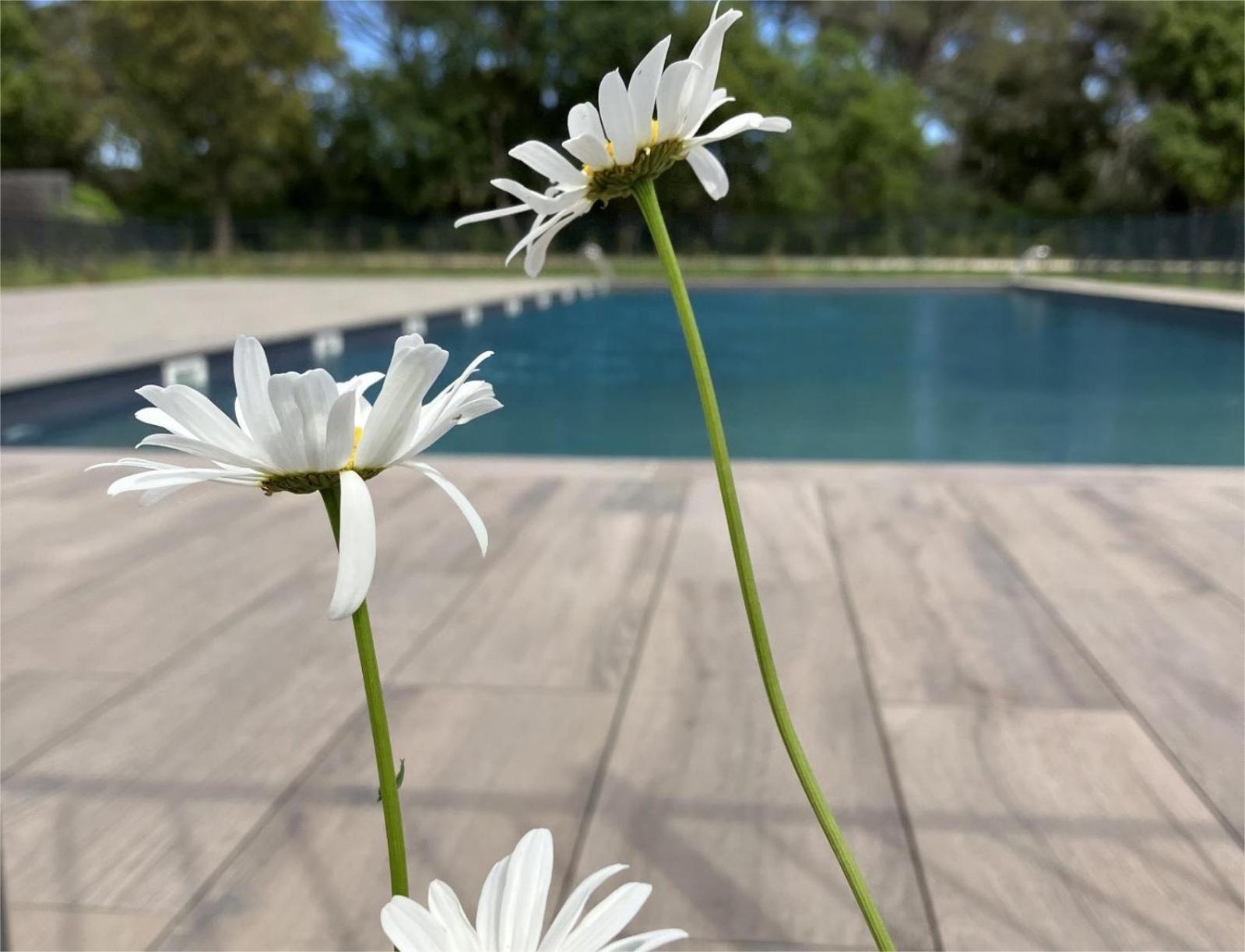 Rez De Jardin T3 Recent Et Calme Au Nouvelles Terres A Les Maures Appartement