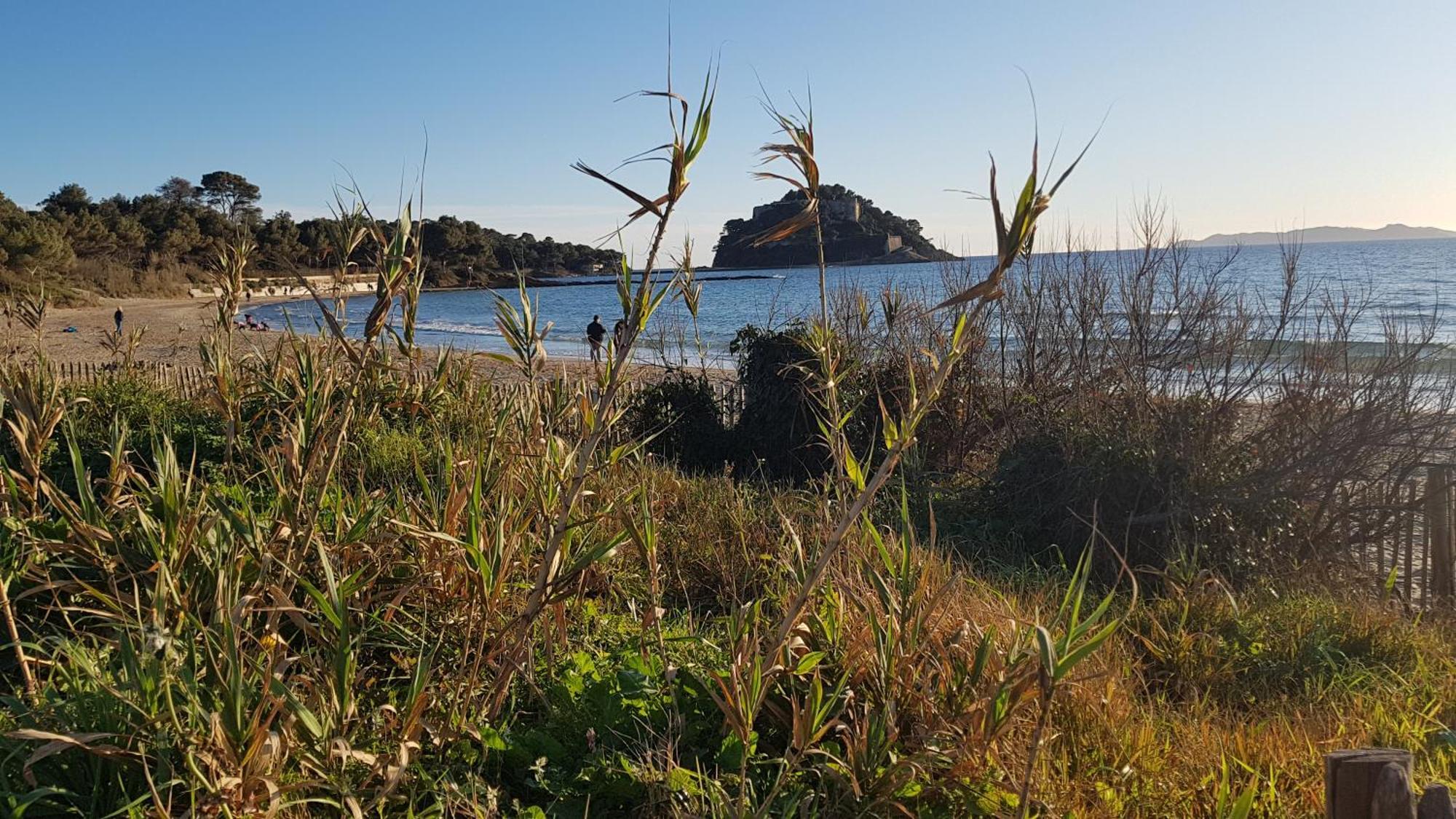 Rez De Jardin T3 Recent Et Calme Au Nouvelles Terres A Les Maures * La Londe-les-Maures