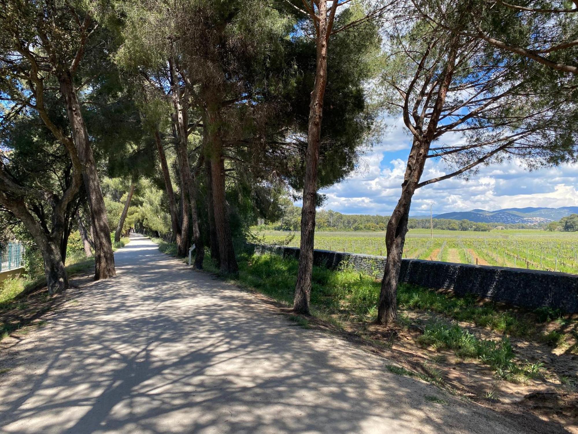 Rez De Jardin T3 Recent Et Calme Au Nouvelles Terres A Les Maures